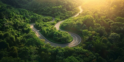 Poster - Winding Road Through Lush Green Forest