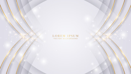 Wall Mural - Luxury gray abstract background with curve shapes, golden lines, and glitter light effect