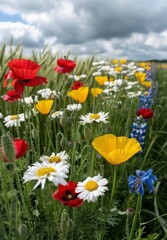 Canvas Print - Vibrant wildflowers blooming in a meadow