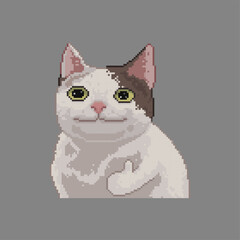 Approved by  poker face cat, pixel art meme