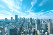 © AgungRikhi - Tokyo Skyline Under a Clear Blue Sky