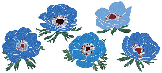 set of flowers. anemone hand-drawn style vector illustration.