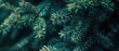 © muhamad - Green fir tree brunch close up beautiful Christmas background with copy space trendy moody dark toned design