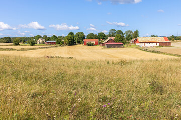swedish countryside with farms and fields