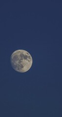 almost full moon rising against the blue sky in the evening vertical video