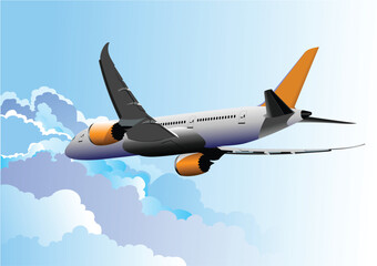 Wall Mural - Passenger airplane flying above the clouds in the sky