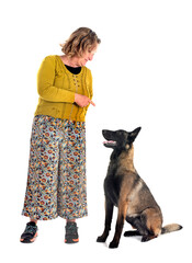 Sticker - malinois and woman in studio