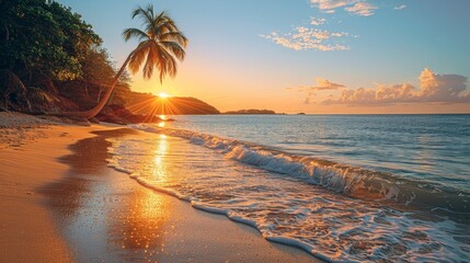 A beautiful beach with a palm tree and the sun setting in the background
