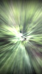 Wall Mural - abstract video with the effect of illuminated video. forest and trees.