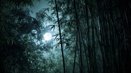 Wall Mural - A moon is shining through the trees in the night