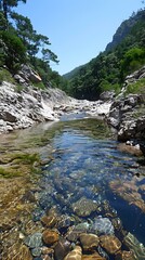 Canvas Print - clear water in Corsica river