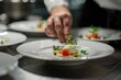 © Shooting Star Std - Professional Photography of Chef Plating Meals, presenting beautifully plated dishes by the chef, demonstrating culinary presentation, Generative AI