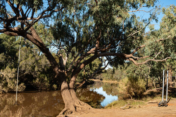 Poster - Warrego River in outback Australia