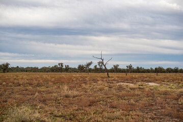 Poster - plains in the Australian outback