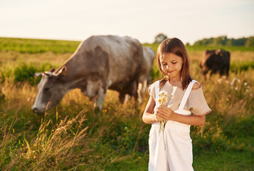 Cows are behind. Holding flowers. Cute little girl is on the farm