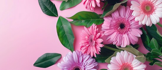 Sticker - Summer-themed web banner featuring vibrant gerbera flowers in shades of pink, purple, and white, accented by green leaves on a soft pink backdrop