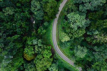 Wall Mural - Raod green,Aerial top view beautiful curve road on green forest in the rain season