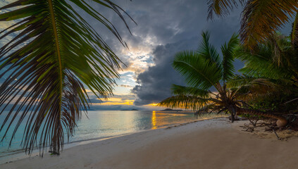 Wall Mural - Palm trees by the sea at sunset in a tropical beach