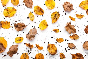 Poster - A collection of yellow leaves scattered on a clean white surface, perfect for using as a background or adding a pop of color to your design