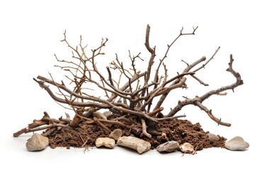 Poster - A natural landscape element with loose soil and stones on a clean surface