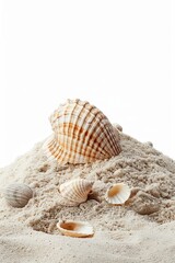 Poster - A pile of sand with shells on top, often used as decorative element or in coastal themed designs