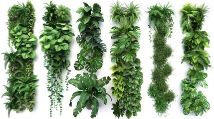 Poster - A collection of plants on a white surface