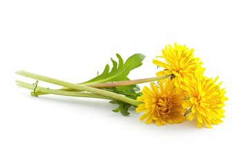 Poster - A bouquet of bright yellow flowers arranged on a clean white surface