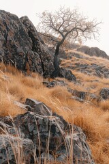 A single tree stands tall on a grassy hill, with a serene landscape in the background