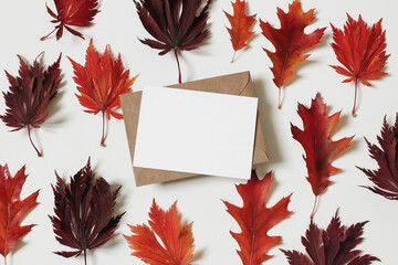 Wall Mural - autumn floral composition. colorful red, crimson oak and maple leaves isolated on white background. 