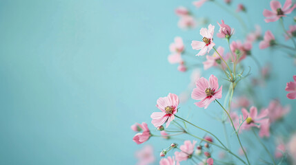 Wall Mural - Photo of pink flowers on a blue background, with copy space for text or design. Vintage color filter effect with soft focus and blurred edges. Background in pastel colors with a spring concept in a mi