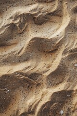 Poster - Close-up shot of sand and shells on a beach, great for travel or nature-themed designs