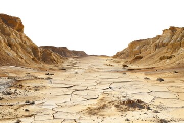 Aufkleber - A dirt road stretching across the arid desert landscape with sand dunes and cacti in the background
