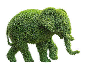 Wall Mural - Elephant Topiary Isolated on Transparent Background
