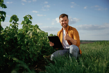 Documents in hand. Handsome man is on the agricultural field at daytime