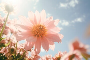 Wall Mural - Flower close up nature summer outdoors. 