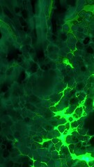 Poster - Green and red background. Motion.Dark cartoon animation with bright backlight that moves and rotates.