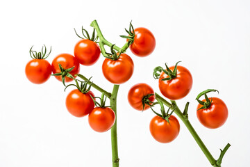 Wall Mural - Cherry tomatoes on a vine