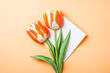 Canvas Print - Orange and White Tulips on a Peach Background