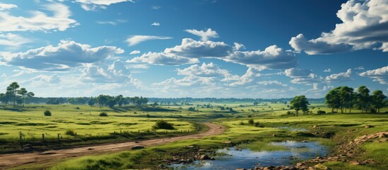 Rural view during spring cloudy blue sky