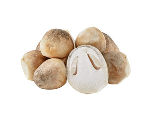 Poster - straw mushroom transparent png