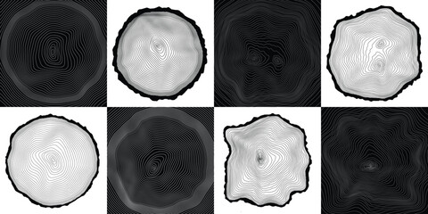 Sticker - Log cut, vector illustration, tree rings pattern, shades of gray	