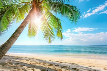 Poster - Palm tree on the beach sea shoreline outdoors.