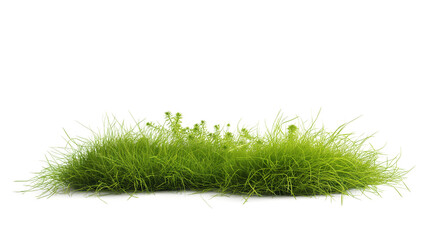 a patch of green grass on a white background