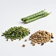 © Serjio - Three varieties of beans, including fresh green beans and dried beans, displayed on a white background.