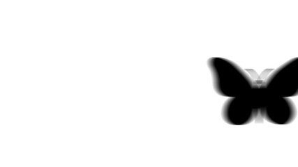 Poster - Animation set, butterfly symbol. Animations: transparency, zooms, transition top to down, transition left to right, slide up to down, slide left to right