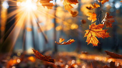 sun-kissed autumn leaves falling gently in a serene forest with sunlight streaming through the trees