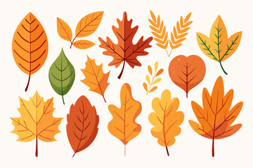 a collection of gold autumn leaves in various shapes and colors