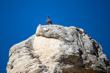 person on a rock