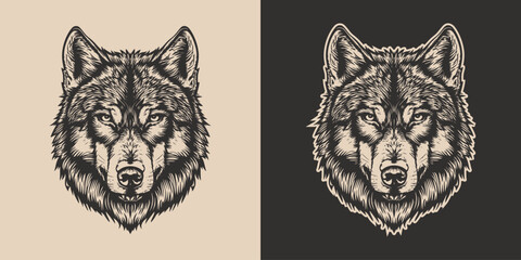 Wall Mural - Vintage retro engraving woodcut style sketch draw paint of head face portrait wild animal wolf predator illustration