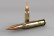 © Valeriu - a close up of a bullet